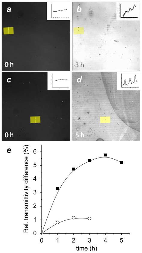Transmission Confocal Images Revealing Differential Resistance Of Download Scientific Diagram