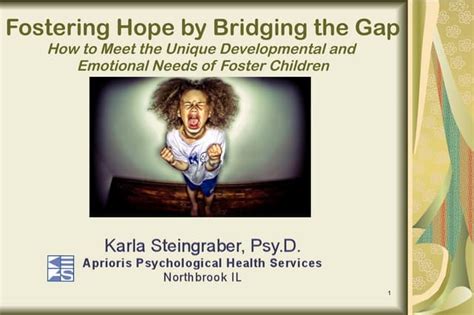 Fostering Hope By Bridging The Gap Ppt