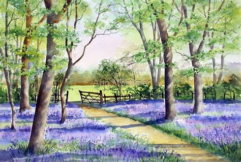 Bluebell Path By Ann Mortimer Redbubble