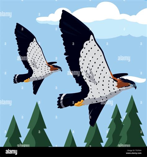 Beautiful Hawks Flying Majestic Birds Vector Illustration Design Stock