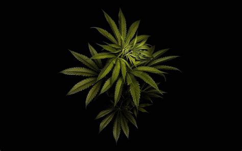 Weed Hd Mobile Wallpapers Wallpaper Cave