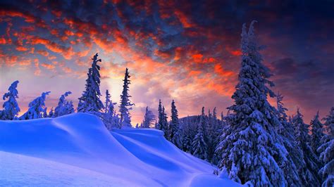 Wallpaper Forest Snow Winter Sunrise Clouds 8k