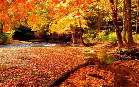 Autumn Wallpaper Autumn Wallpaper 35867651 Fanpop