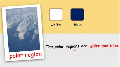 Add to my workbooks (8) download file pdf embed in my website or blog add to google classroom Super Minds Year 2 : Unit 6 - Habitats - YouTube