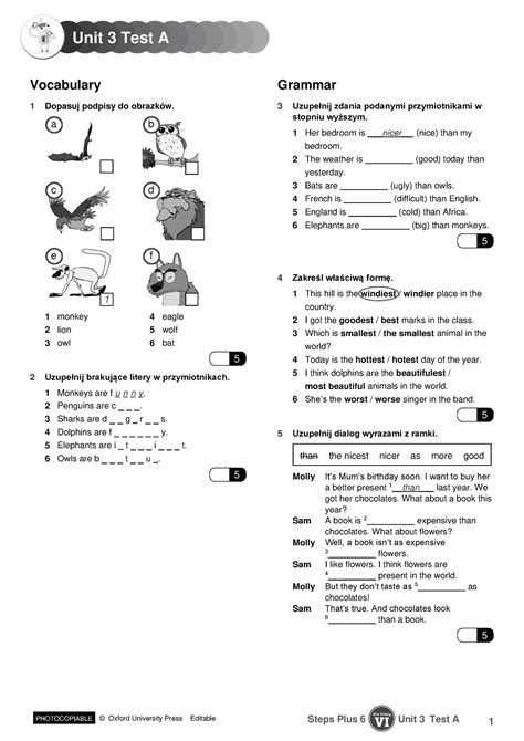 27033830 Steps Plus VI Test U3 A-skonwertowany - PHOTOCOPIABLE Steps