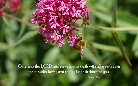 Refine your search for nature bible verse. 1. Samuel 12:24 - Free Nature & Bible Desktop Background ...