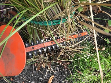 Cutting The Grasses