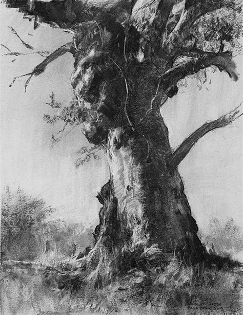 John Mccartin Landscape Drawings Charcoal Art Tree Drawing