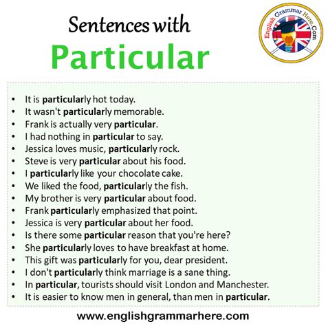Sentences With Particular Particular In A Sentence In English
