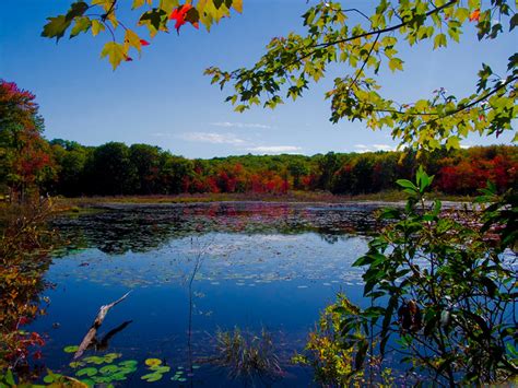 Best Time To See Connecticut Fall Foliage 2024 When To See Roveme