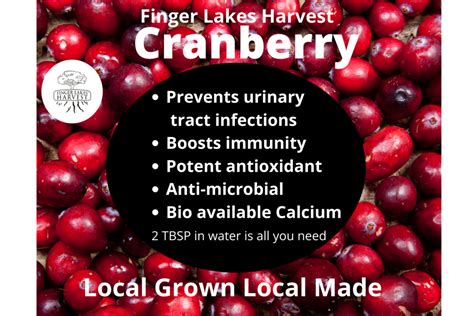 Cranberry Shrub Finger Lakes Harvest