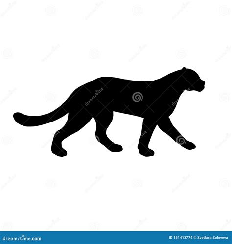 Vector Flat Black Silhouette Of Leopard Panther Stock Vector