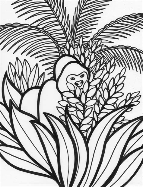 Tropical Rainforest Coloring Pages Rainforest Coloring Pages | Images