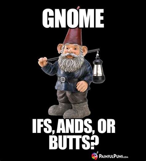 Gnome Ifs Ands Or Butts Funny Garden Gnomes Funny Gnomes Gnome