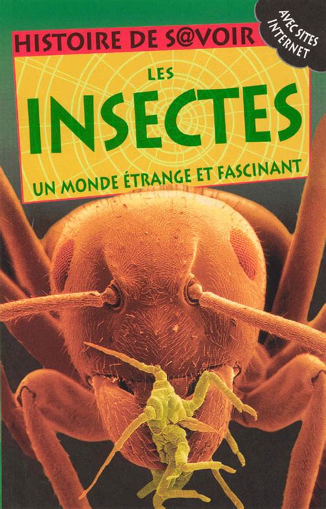 Les Insectes Un Monde étrange Et Fascinant Éditions Hurtubise