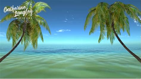 Zoom Virtual Background Beach Video Download