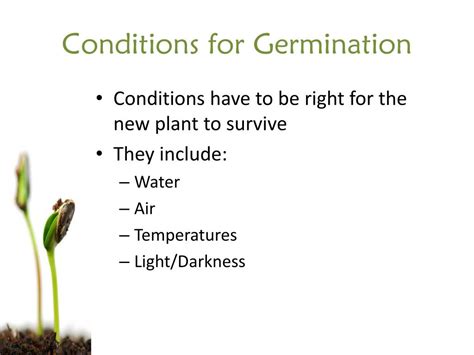 Ppt Seed Germination Powerpoint Presentation Free Download Id2784930