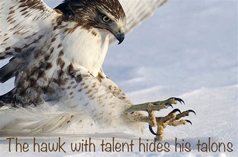 Commonlit answer keys for the lottery. The hawk with talent hides his talons. | Dawn Productions