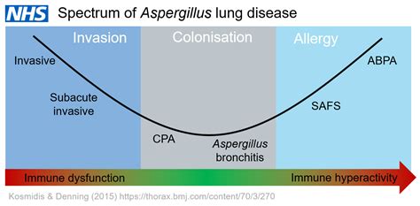 National Aspergillosis Centre Nhs Mycology Cases