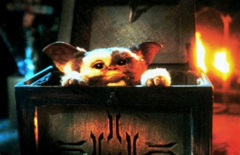 Gremlins Reboot Update Its Happening And Zach Galligan Wants A Role