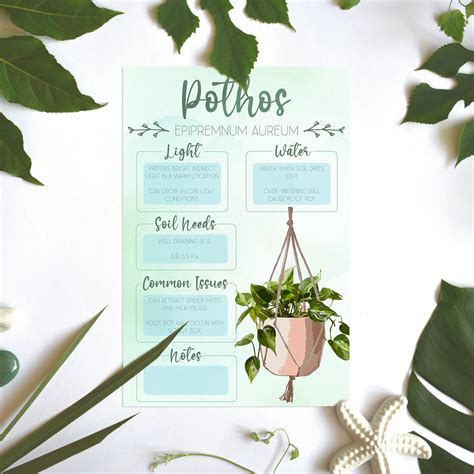Plant Care Card Plant Needs Image Plant Information Etsy