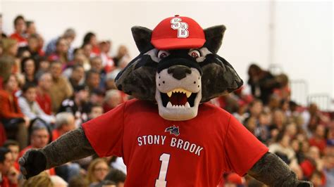 Stony Brook, Albany mascots fight during America East Championship game 
