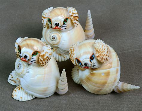 Indian Vintage Natural Sea Shells Small Puppies Dogs Shell