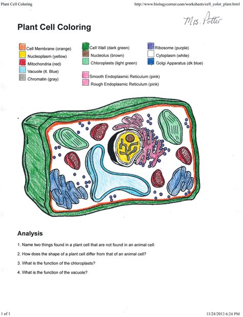 Plant Cell Coloring Questions Answer Key