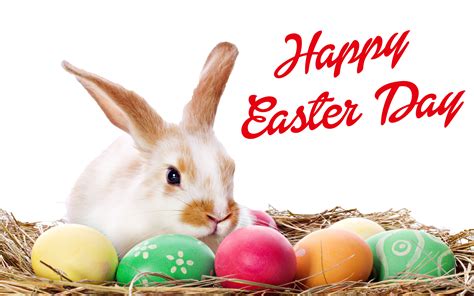Download Happy Easter Bunny Png Happy Easter Egg Png Full Size Png
