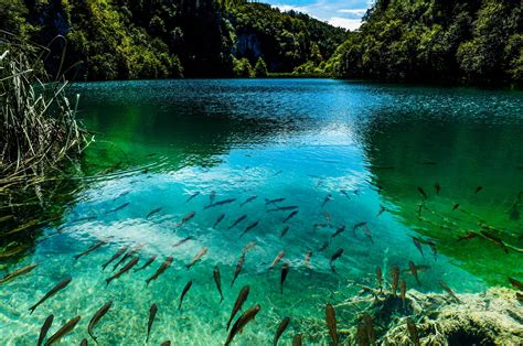 Plitvice Lakes A Natural Paradise Between The Croatian Mountains