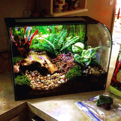 Cacti are fun to grow and easy to you can create some amazing cactus garden and proudly display them in a variety of ways! Habisphere, excellent terrarium for plants and animals ...