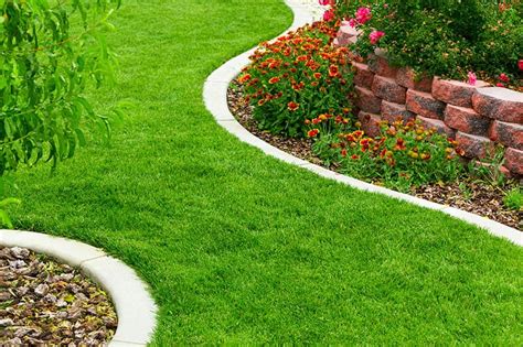 23 Cheap And Amazing Garden Edging Ideas You Can Try