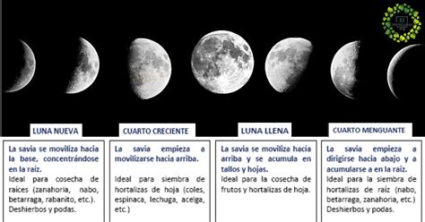 Fases De La Luna En Marzo 2023 Para Imagesee