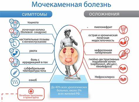 Диета при желчекаменная болезнь симптомы Мочекаменная болезнь Мочекаменная болезнь Диета при желчекаменная болезнь симптомы
