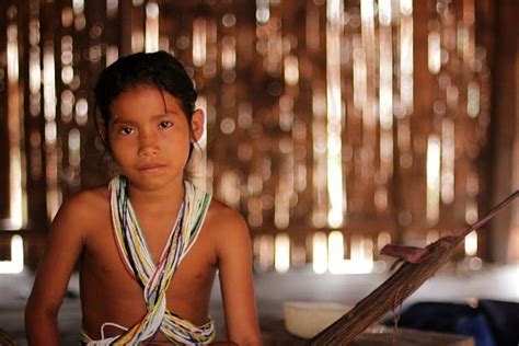nachgefragt indigene völker im amazonasgebiet