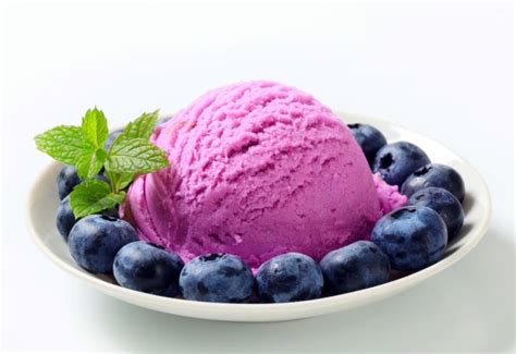 Blueberry Sherbet The Cookbook Publisher
