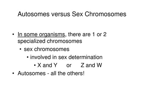 Ppt Autosomes Versus Sex Chromosomes Powerpoint Presentation Free