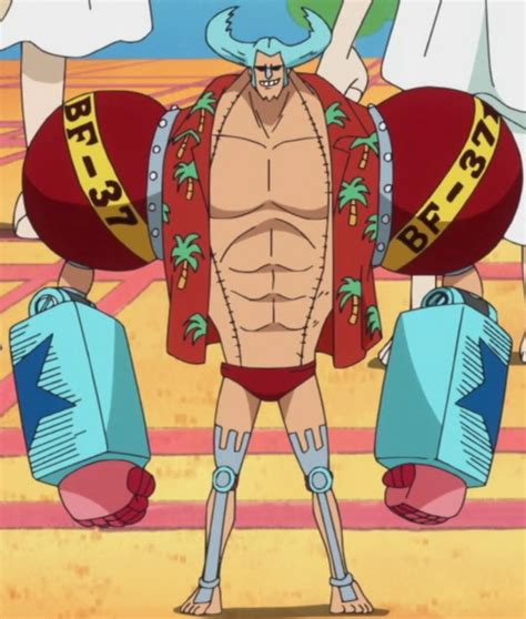 Image Franky Anime Post Timeskip Infoboxpng The One Piece Wiki