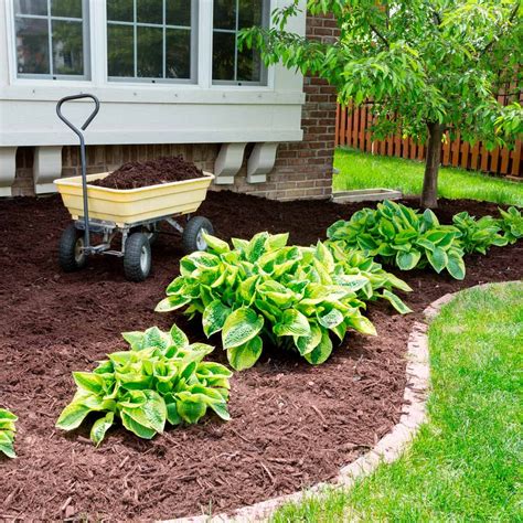 Curb Appeal Simple Front Yard Landscaping Ideas On A Budget