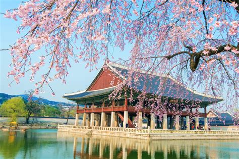 Qué Visitar En Corea Del Sur Viajeros Ocultos