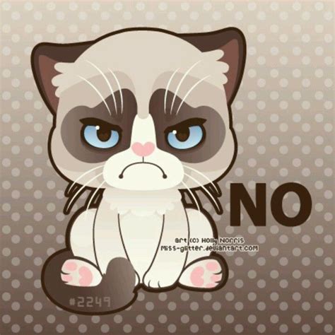 Pin By Brittany Cameron On Dont Be Grumpy Grumpy Cat Grumpy Cat