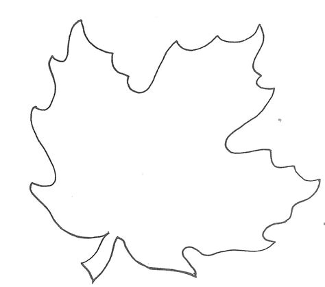 Maple Leaf Drawing Template Free Download On Clipartmag