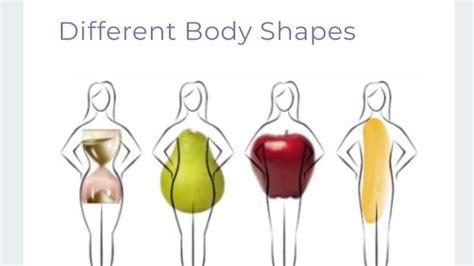 Types Of Body Shapesapplepearhourglassrectangle I Obesity Part1