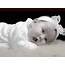 Cute Baby  Sweety Babies Wallpaper 8885686 Fanpop
