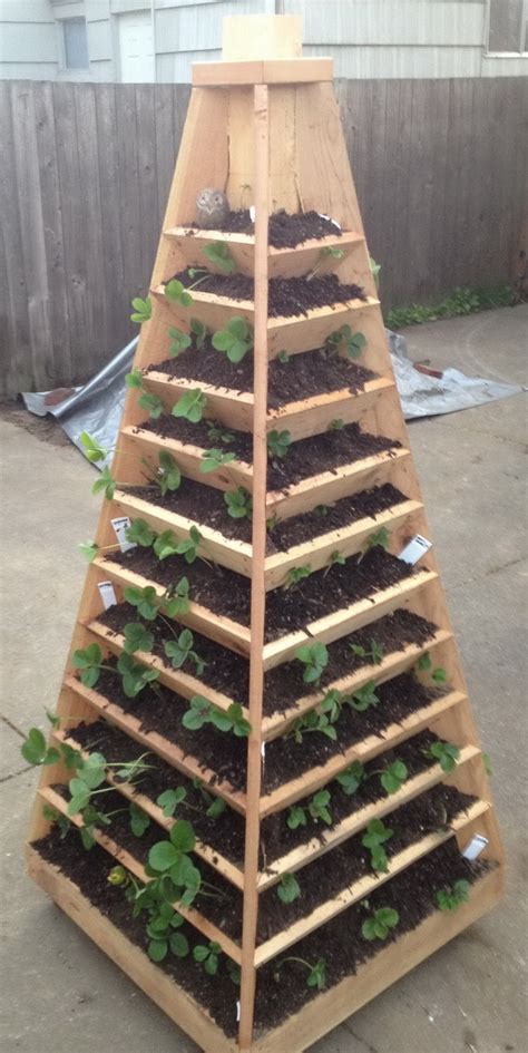 Build A Great Strawberry Pyramid Planter In 4 Steps