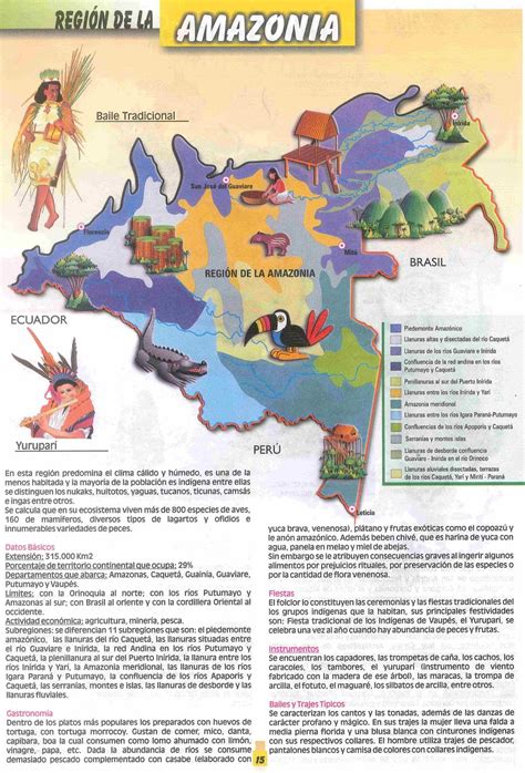 Regiones Naturales De Colombia Mapa Conceptual Kulturaupice Sexiz Pix