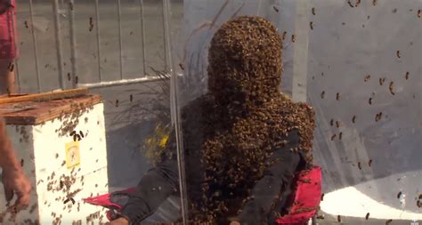 Watch This Gentleman Break The World Duration Record For Wearing A Bee Beard Boing Boing