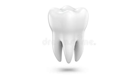 Dental 3d Model Of Premolar Tooth As A Concept Of Dental Examination