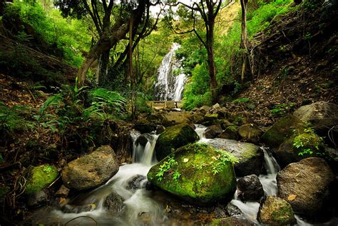 Peaceful Forest Waterfall Utiliser Un Papier Peint Panoramique