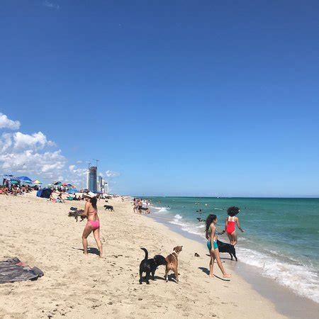Haulover Beach Park Bal Harbour All You Need To Know BEFORE You Go With Photos
